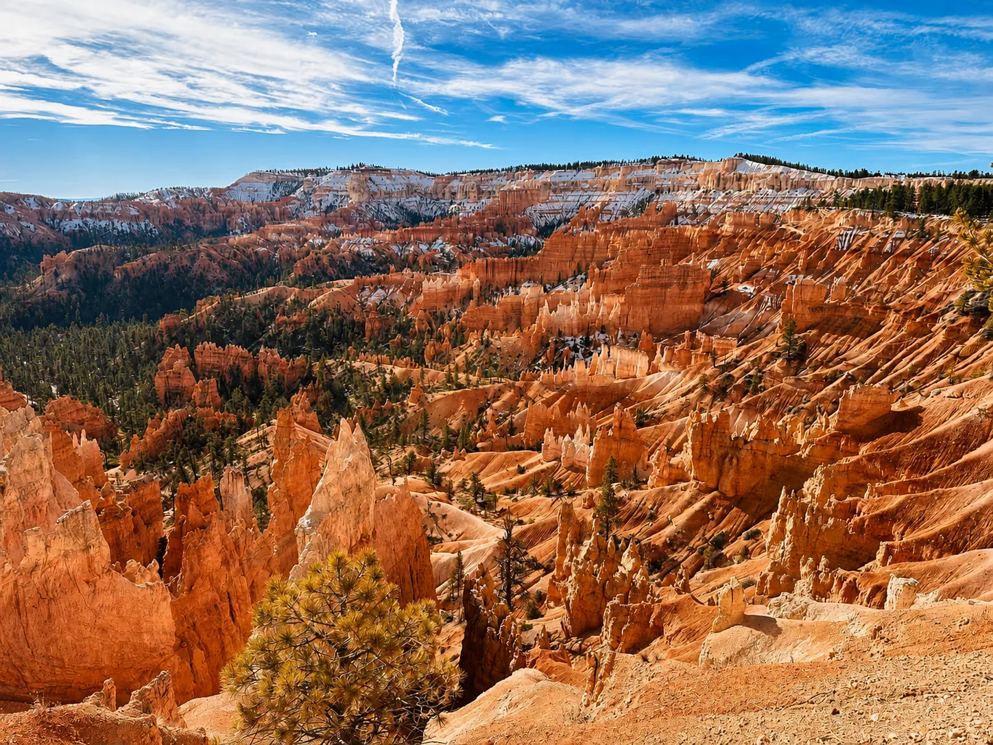 Bryce Canyon amphitheater in warm afternoon light