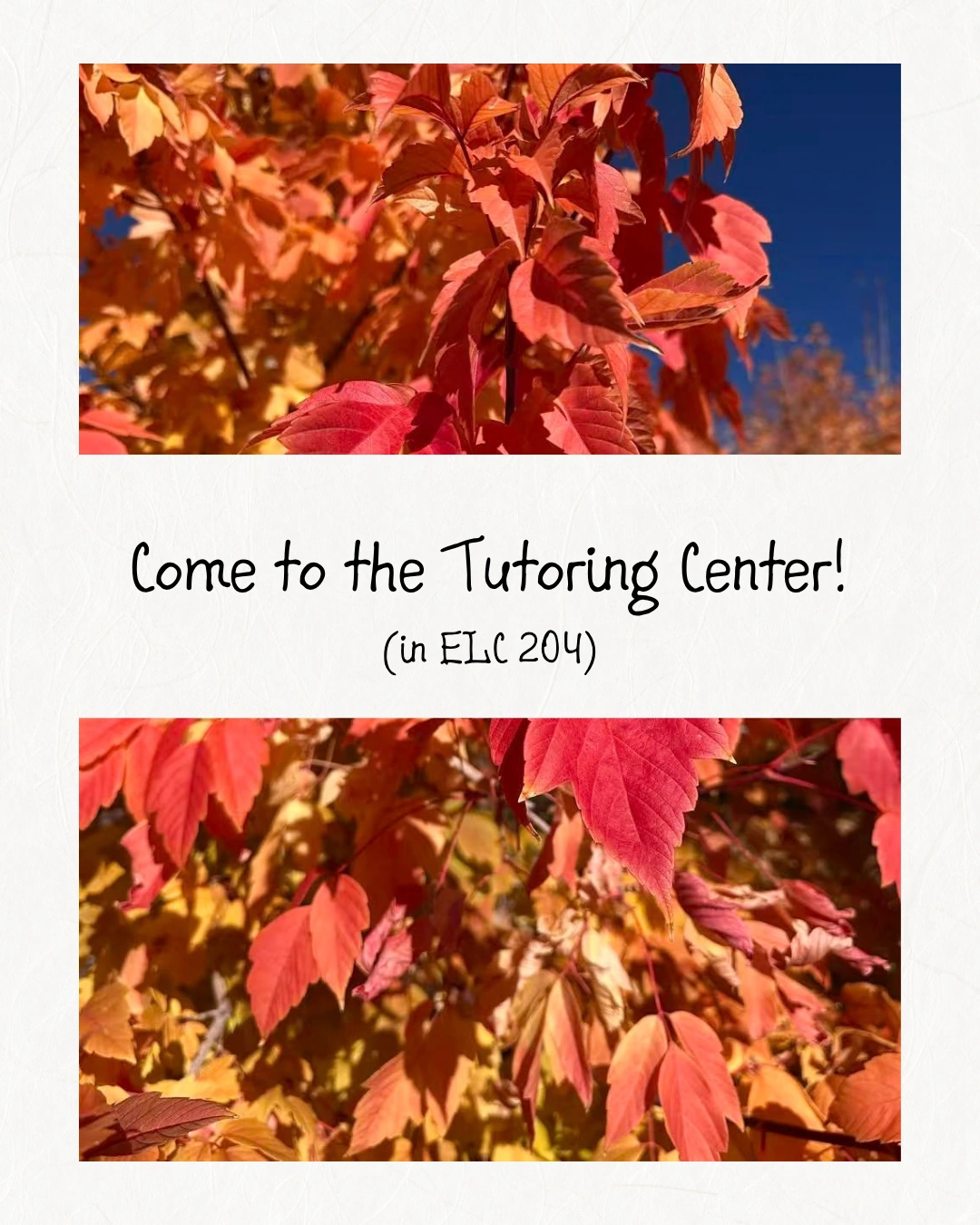 October carousel closing slide inviting students to the Tutoring Center in ELC 204, framed by red autumn leaves